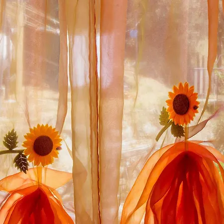 Oda ve Kahvaltı Raggio Di Sole *